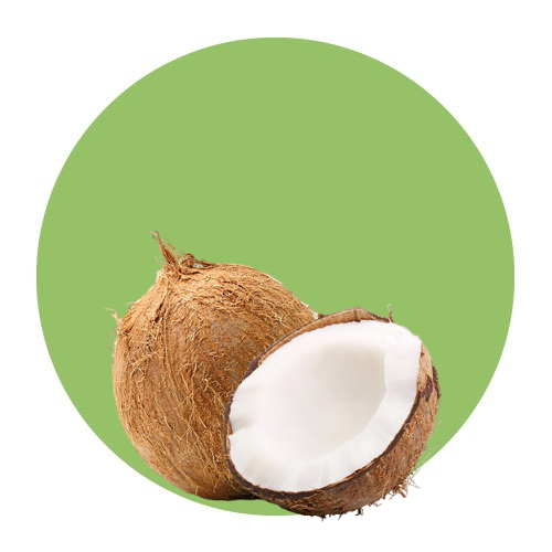 Fruits / Coconut