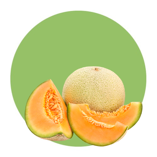 Fruits / Melon