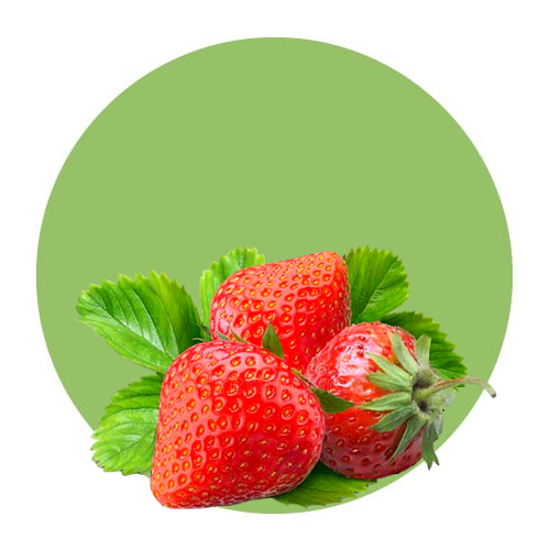 Fruits / Strawberry