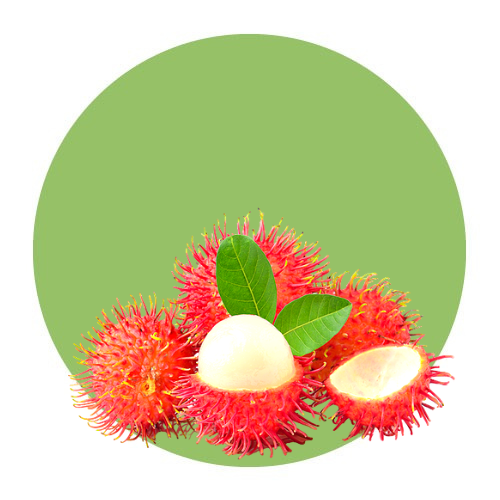 Fruits / Rambutan