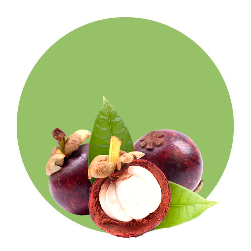 Fruits / Mangosteen