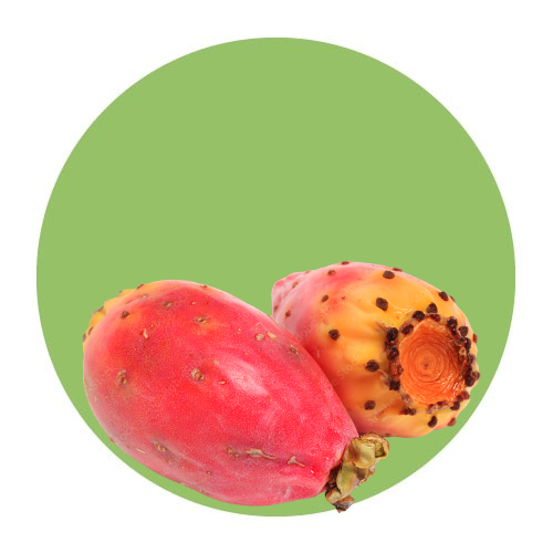 Fruits / Barbary Fig