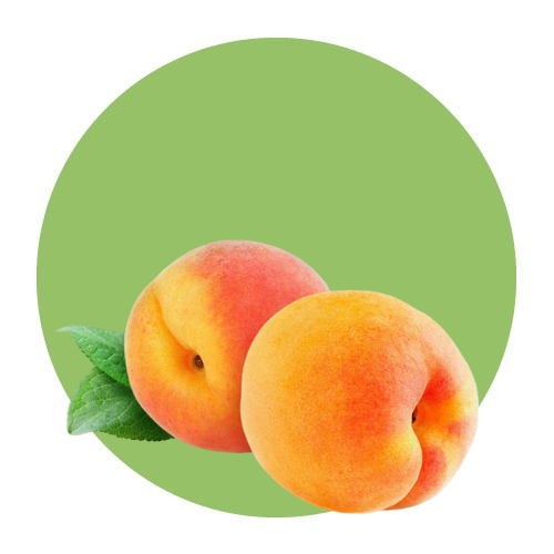 Fruits / Apricot