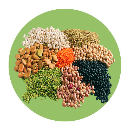 Spices & Grains & Herbs / Legumes