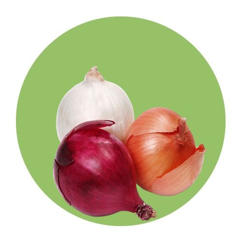 Vegetables / Onion