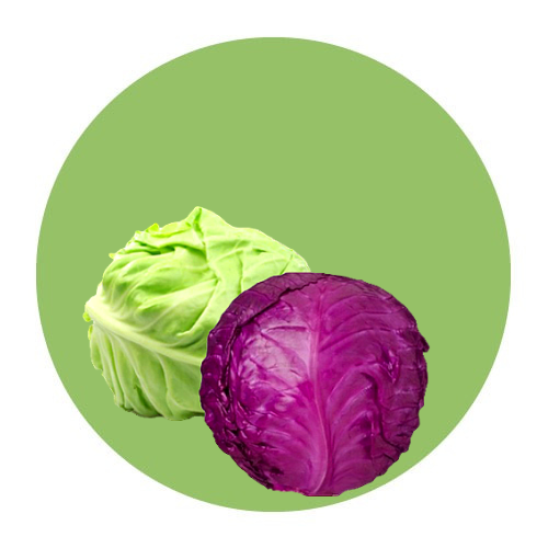 Vegetables / Cabbage