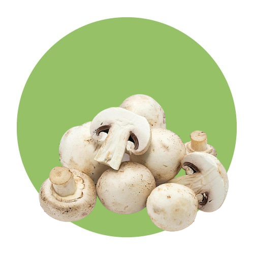 Vegetables / Mushroom