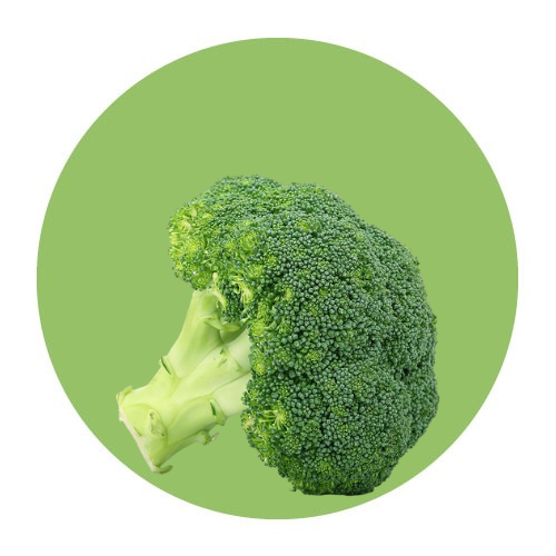 Vegetables / Broccoli