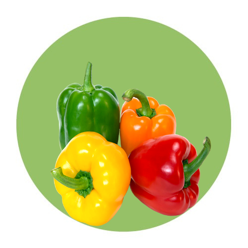 Vegetables / Bell Pepper