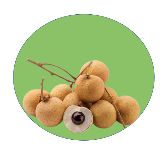 Fruits / Longan