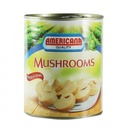 Americana Mushrooms Pieces & Stems184G 