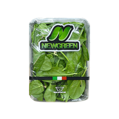 Baby Spinach [Italy]