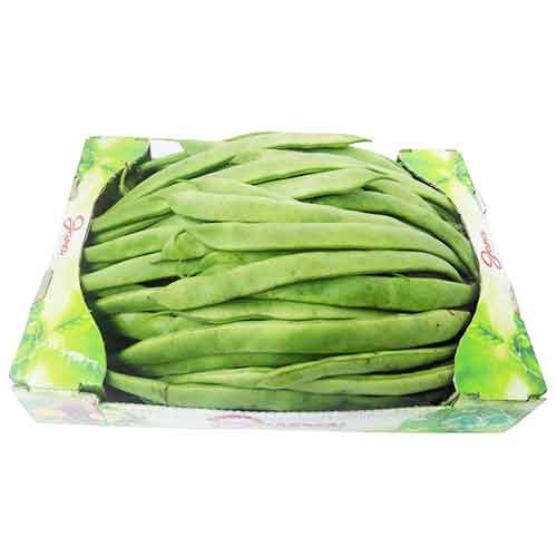 Badriya Air Cargo [Lebanon]