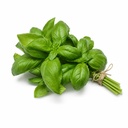 Basil [Kuwait]
