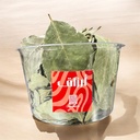 Bay Leaves [India]