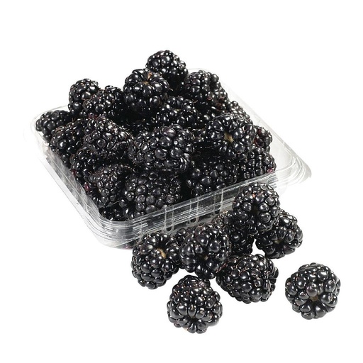 Black Berries 170 Gm [Morocco]
