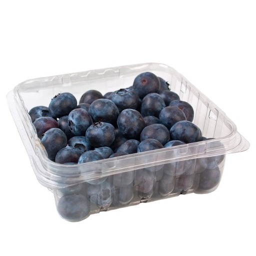 Blue Berries Jumbo 125 Gm [Morocco]