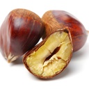 Chestnut [China]