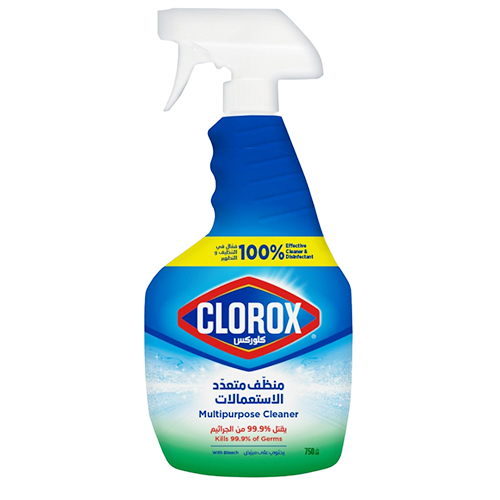 Clorox Multipurpose Cleaner - 750 Ml 