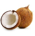 Coconut [India]