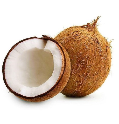 Coconut [India]