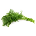 Dill [Kuwait]