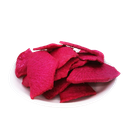 Dried Red Radish Chips [China]