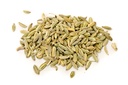 fennel seeds [India]