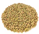 Green Lentils [India]