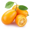 Kumquat [Lebanon]