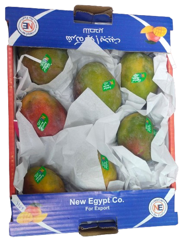 Mango Yasmina [Egypt]