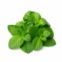 Mint [Kuwait]