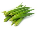 Okra [Saudi Arabia]