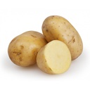 Potato [Egypt]