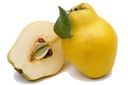 Quince [Turkey]