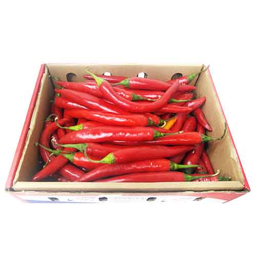 صورة المنتج