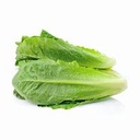 Romaine Lettuce [Jordan]