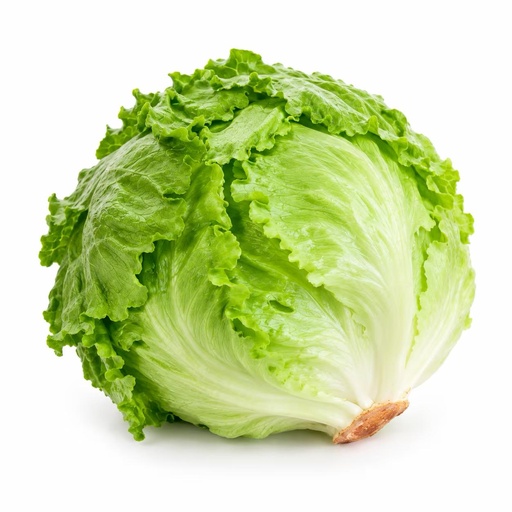 Iceberg Lettuce (Round) [Jordan]