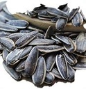 Salted Sunflower Seeds 