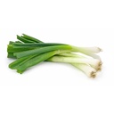 Green Spring Onion [Kuwait]