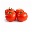 Tomato [Jordan]
