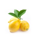 Yellow Lemon [Egypt]