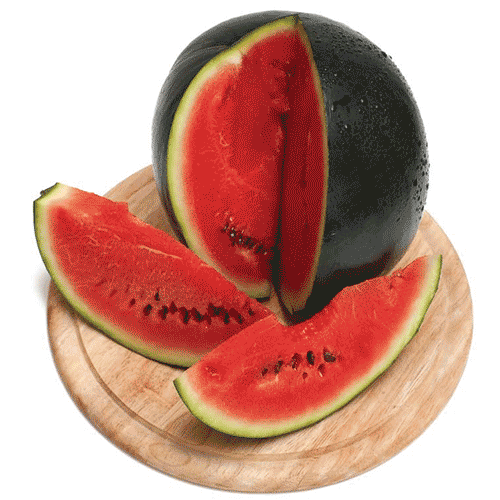 Watermelon [Yemen]