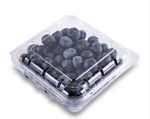 Blue Berries 170 Gm [Morocco]