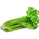 Celery [Spain]