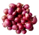 Baby Red Onion [India]