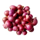 Baby Red Onion [India]