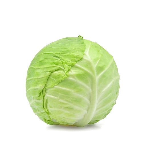 Cabbage White [Saudi Arabia]
