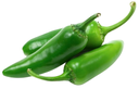 Green Jalapeno Chili Peppers [Netherlands]