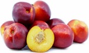 Nectarine [Tunisia]
